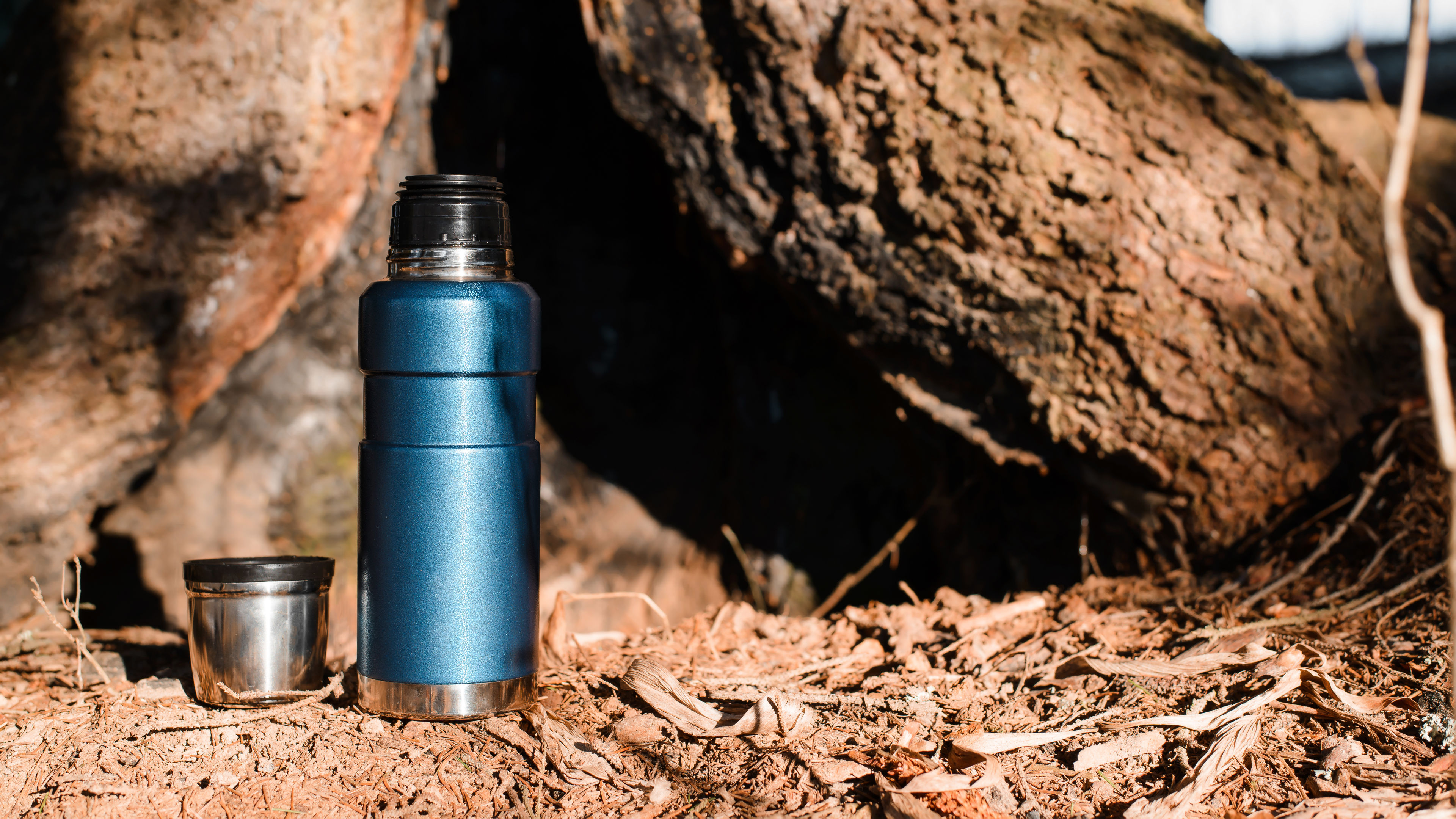 Blue Thermos and Cup