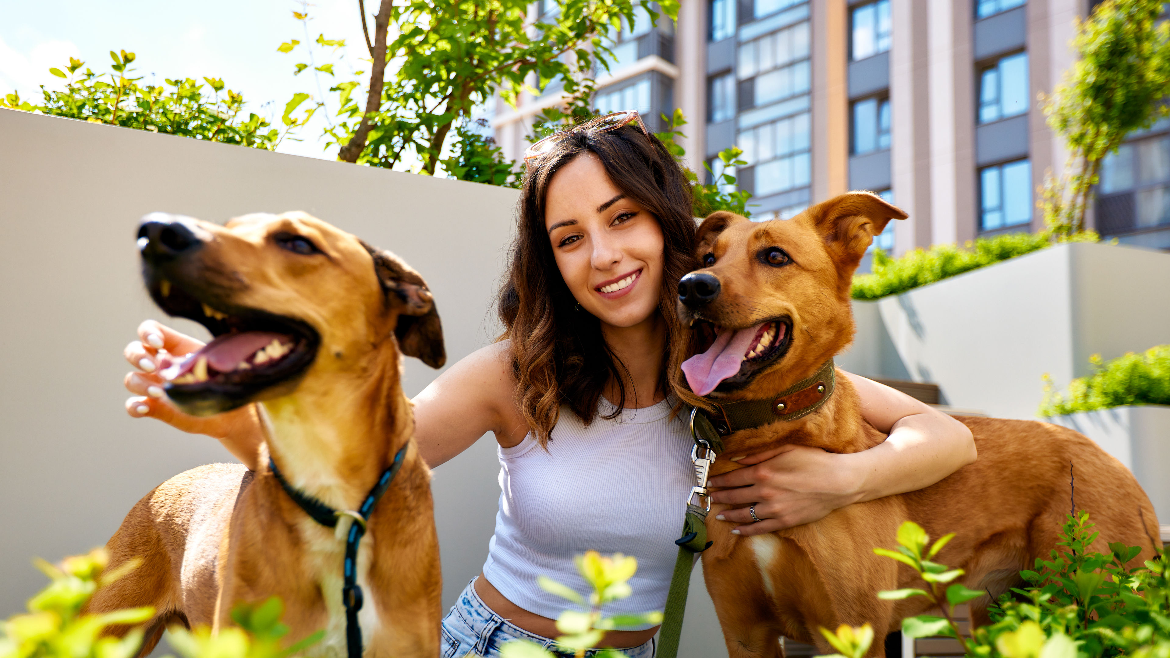 Young woman holding dogs