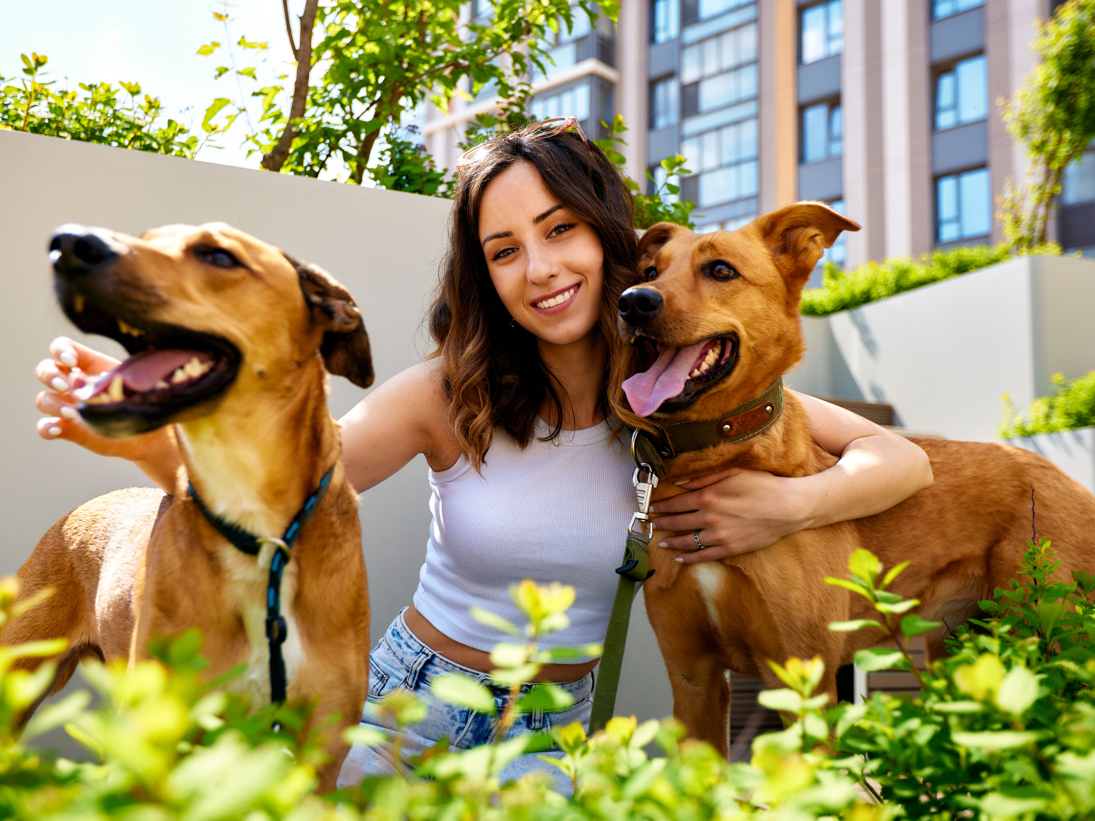 Young woman holding dogs 