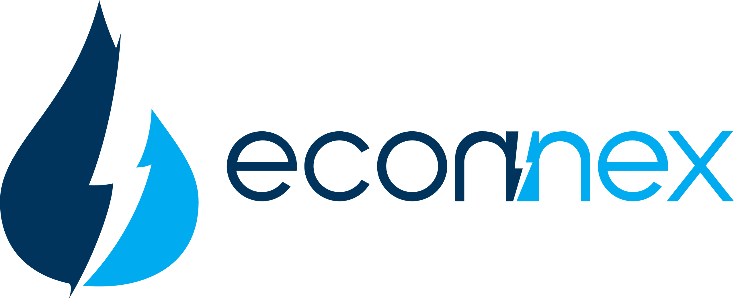 Econnex brand logo